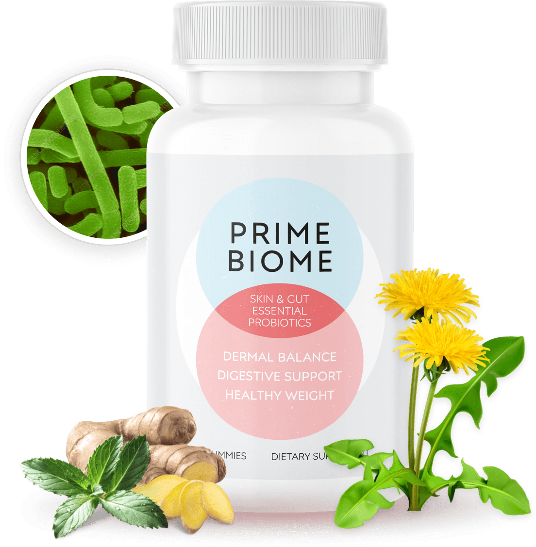 PrimeBiome Supplement